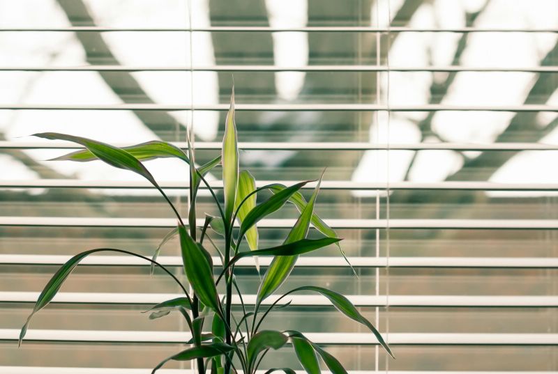 pexels-steve-845248