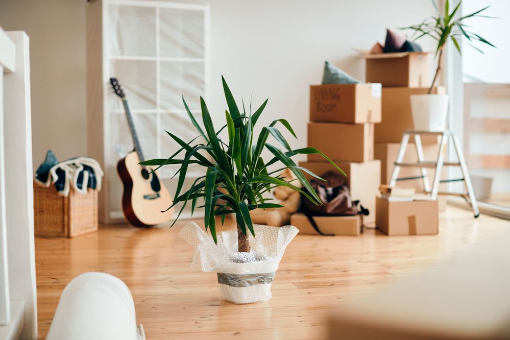 pack things up